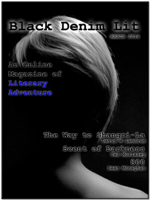 cover image of Black Denim Lit #2